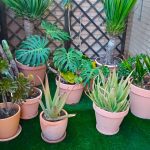 Apartamento Vacacional El Atico whatsapp image 2025 12 02 at 01.15.38